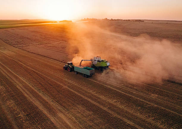 istock Evening dawn. Against sunlight. Agricultural machine harvesting wheat 2241413188
