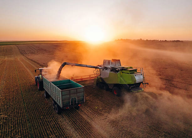 istock Evening dawn. Against sunlight. Agricultural machine harvesting wheat 2241413190