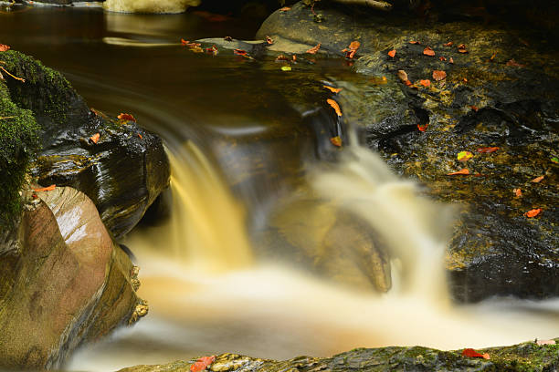 Flowing water over mossy rocks in a river. There are autumn leaves on the rocks. Long exposure.