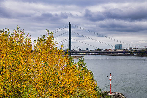 istock Vibrant Autumn Foliage Framing Rhine River with Cable-Stayed Bridge and Distant Ferris Wheel Under Cloudy Sky in Düsseldorf Germany 2241415902