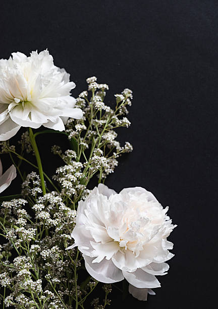 istock Delicate white flowers and buds arranged beautifully on a dark surface 2241417470