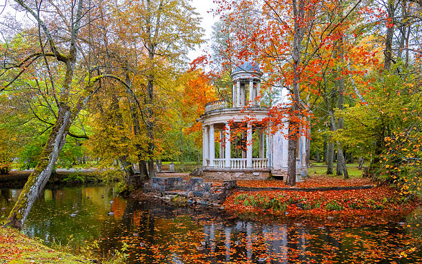 istock Late autumn patterns in old public park 2241417471