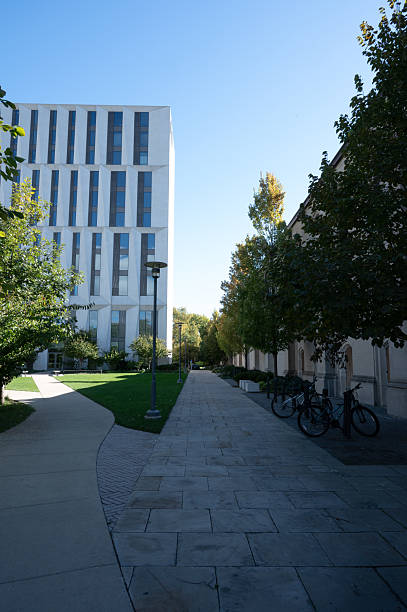 istock View of buildings in Chicago university 2241419861