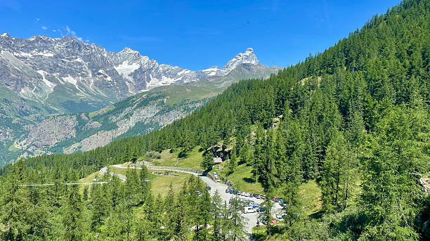 istock Woods surrounding Matterhorn in summer 2241420194