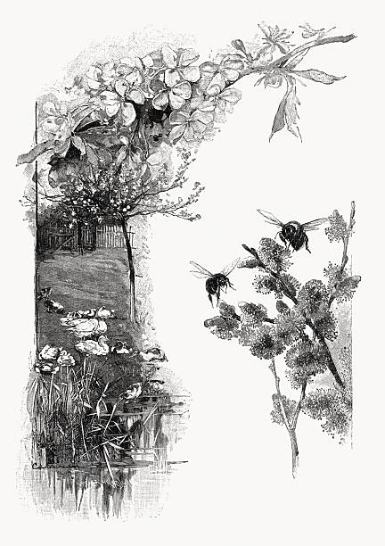 Decorative spring motifs: rural scenes. Wood engravings, published in 1897.