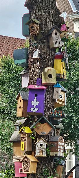 istock Tree covered in bird houses 2241422994