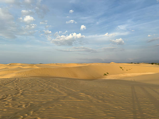 istock Coro Dunes Panoramic View of Arid Dunes and Rolling Hills Under a Blue Sky 2241423410