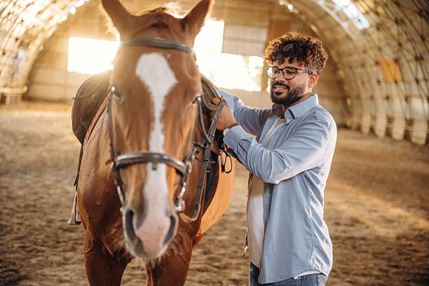 istock Secures the saddle. Man is with horse in the hangar 2241424072