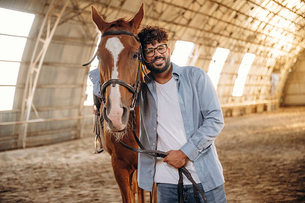 istock Front view, standing together. Man is with horse in the hangar 2241424219
