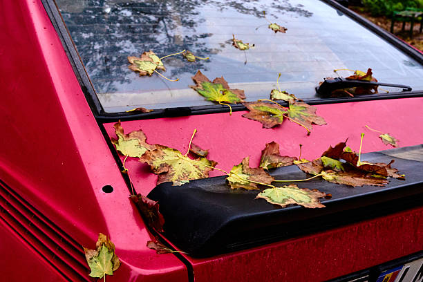 istock Red car with autumn leaves on it 2241425787