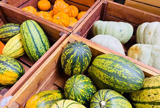 istock Autumn pumpkins in the store stock image 2241427100