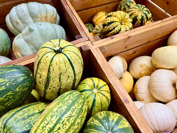 istock Autumn pumpkins in the store stock image 2241427243