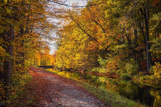 istock Fall Foliage Over Glens Falls NY Feeder Dam Walking Path 2241428732