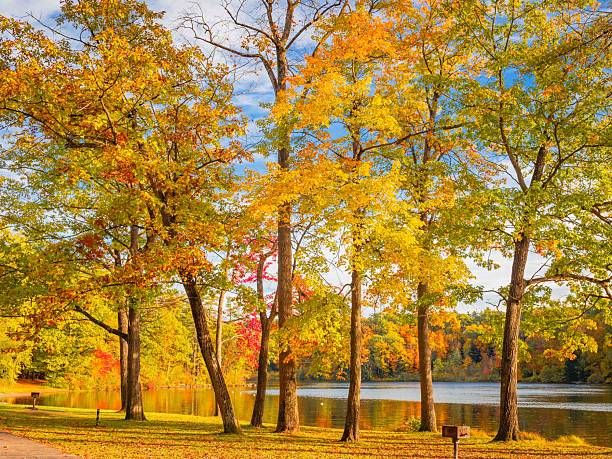 istock Haviland Cove Hudson River Glens Falls New York in Fall 2241428867