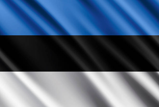 istock High detailed realistic waving flag of Estonia. Vector Illustration 2241428989