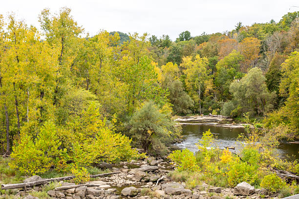 istock Connecticut River and Forest in Early Autumn 2241429503