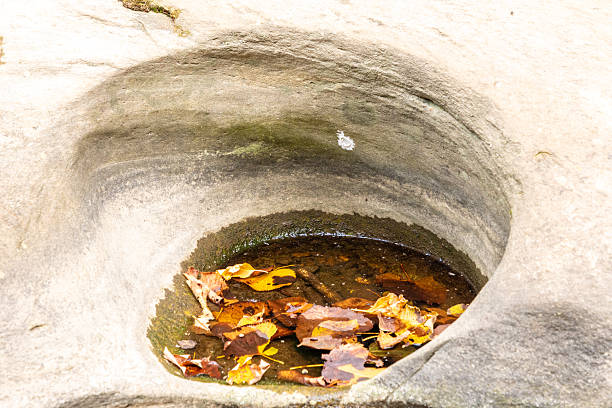 istock Fallen Leaves in Rocky Creekbed Pool 2241430048