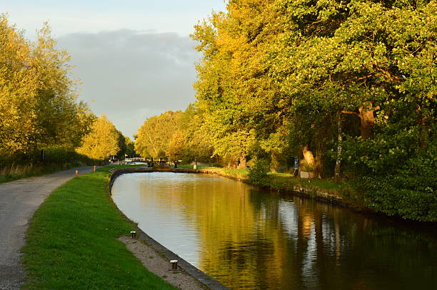 istock Autumn green trail along the canal 2241431560
