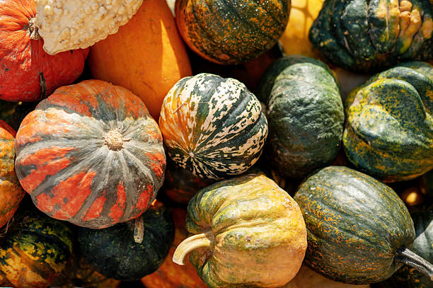 istock Colorful Gourds and Squashes 2241435914