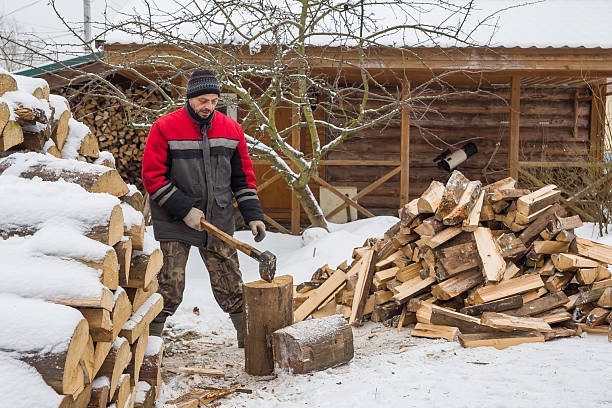 istock A man is harvesting firewood 2241450951