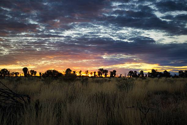 Sunrise in desert sands, Central Australia.