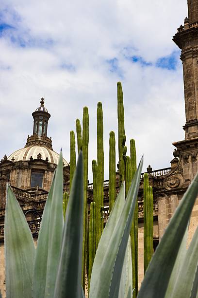 istock Cacti Frame Ornate Church Dome Against Cloudy Sky 2241452039