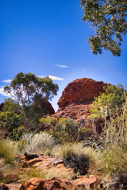 Uluru, Australia - August 22, 2016: Sunrise over Uluru, the famous giant monolith in the Australian desert. Image taken from the approved public viewing and photography area.