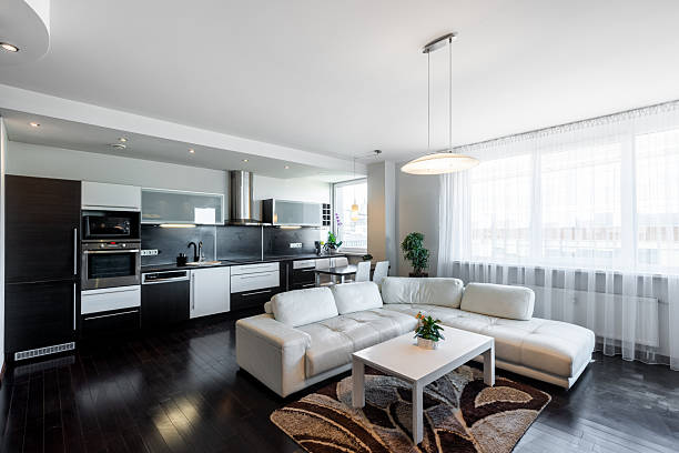 istock Modern Home Interior Design of Open-Plan Living Room and Kitchen Area 2241454781