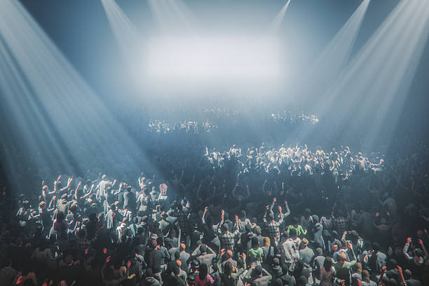 Audience at Music Festival