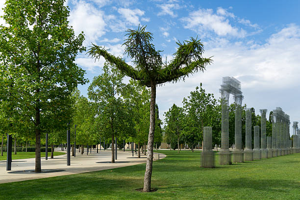 istock Siberian larch Larix Sibirica shaped like palm tree, lush green trees lining path, with translucent, modern column structures in city park Krasnodar. Public landscape Galitsky park 2241457611