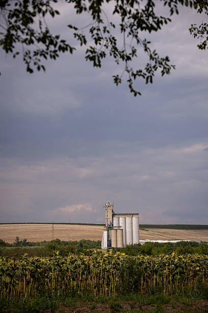 istock Rural Grain Elevator and Silos in Agricultural Landscape 2241460601