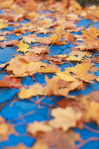 istock Autumn leaves on disabled parking line 2241471991