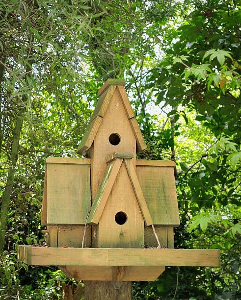 istock Five Room Garden Bird House 2241473466