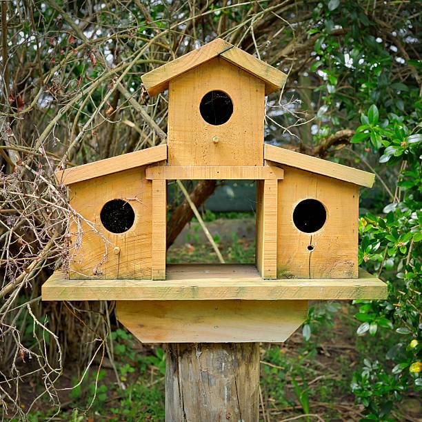istock Three Room Garden Bird House 2241473557