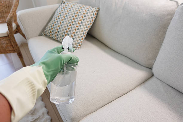 istock Cleaning a sofa with spray cleaner and gloves 2241474035