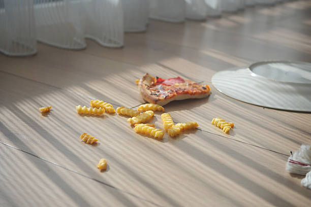 istock pizza slice and scattered fries dropped on the floor 2241476222