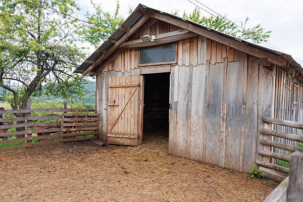 Empty Horse's Stable