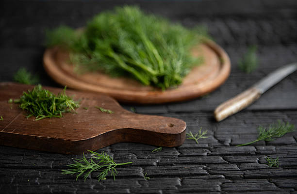 Dill isolated on white background. Fresh organic greens. Dill plantation. Dill leaves. Bunch of spring young dill. Vitamins. Fiber. Aromatic culinary spice.