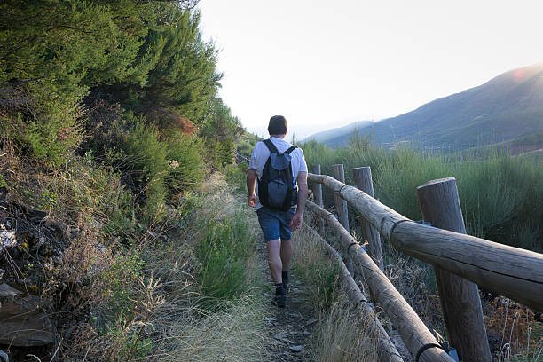 Rear view of a man walking on a narrow mountain path bordered by wooden fences and green bushes during sunset. Concept of outdoor adventure, relaxation, and connection with nature in summer.