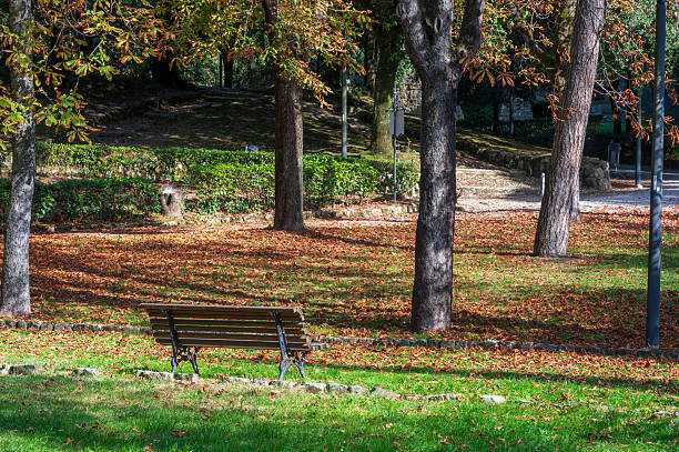 istock Park in early Autumn 2241479731