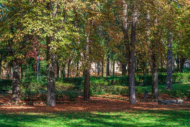 Arezzo, Tuscany, Italy: Park in early autumn