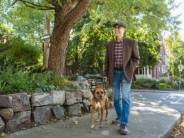 Senior man having fun with his dog outdoors. He is dressed in casual clothes. Street corner in residential neighbourhood  in Toronto, Canada.