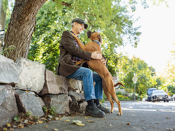 istock Senior man having fun with his dog outdoors 2241484894