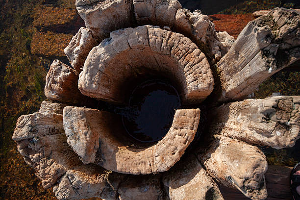 Wet Rocks with Hole in Water