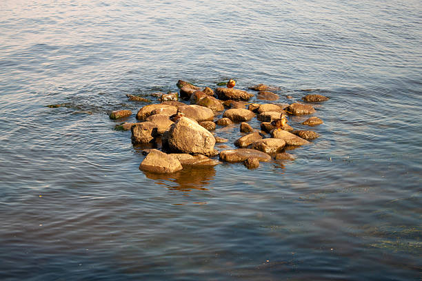 Waves gently lap against a rocky shore, creating a soothing natural scene of water and stones. Natural photography taken at the North coast of Gulf of Finland on a sunny day