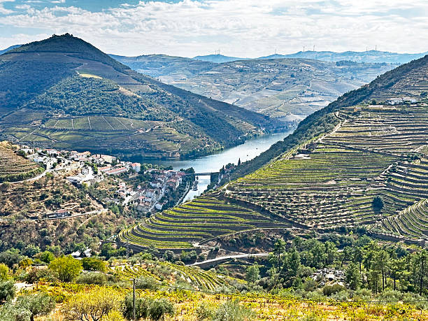 istock Vineyard Along the Douro River, Portugal 2241492340