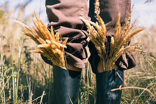Close up of dry golden grass placed inside black rubber boots in a sunny meadow. Concept of creativity, eco lifestyle, sustainability, and artistic rural inspiration in nature.