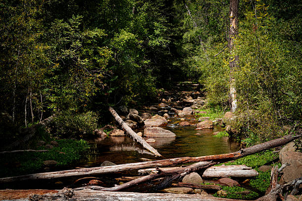 Remote Camp Creek is one of Arizona's hidden gem's.