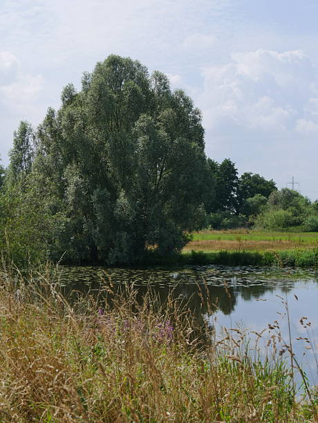 istock Idyllic little lake 2241511694