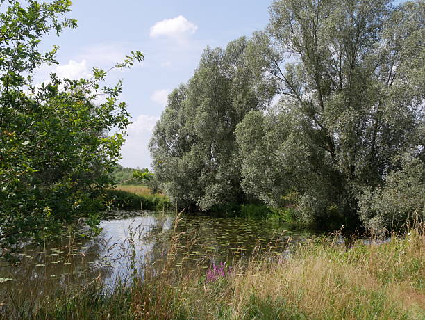 istock Idyllic little lake 2241511696